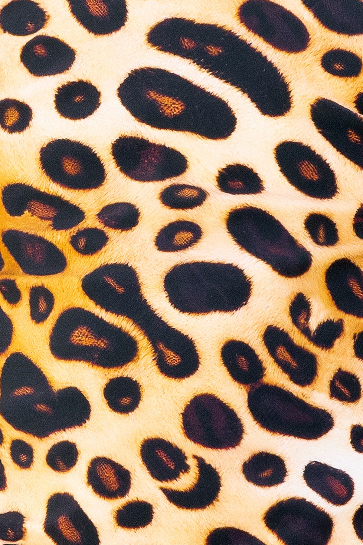 Daisy Swim Hat - Cheetah Fever