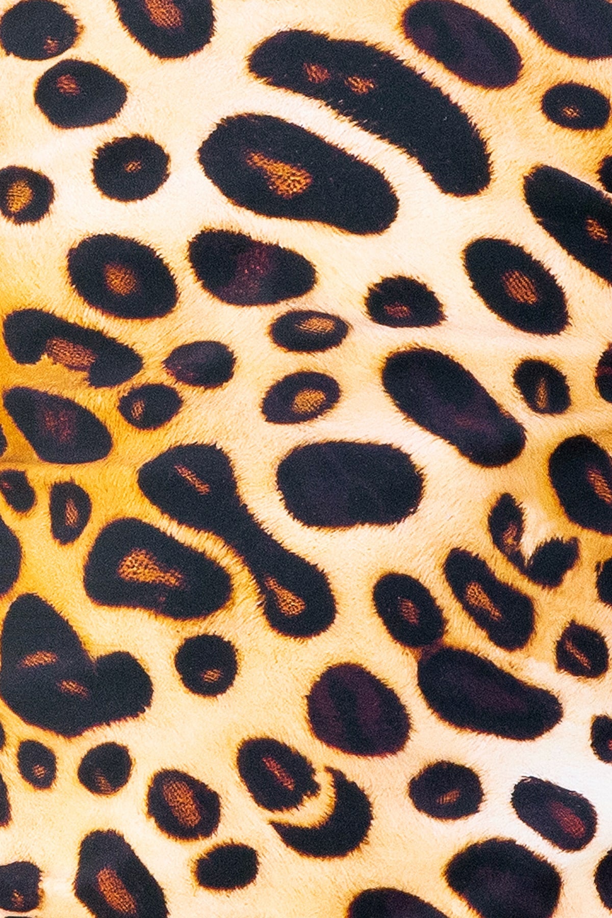 Mini Billy Rashie Top Final Sale - Cheetah Fever